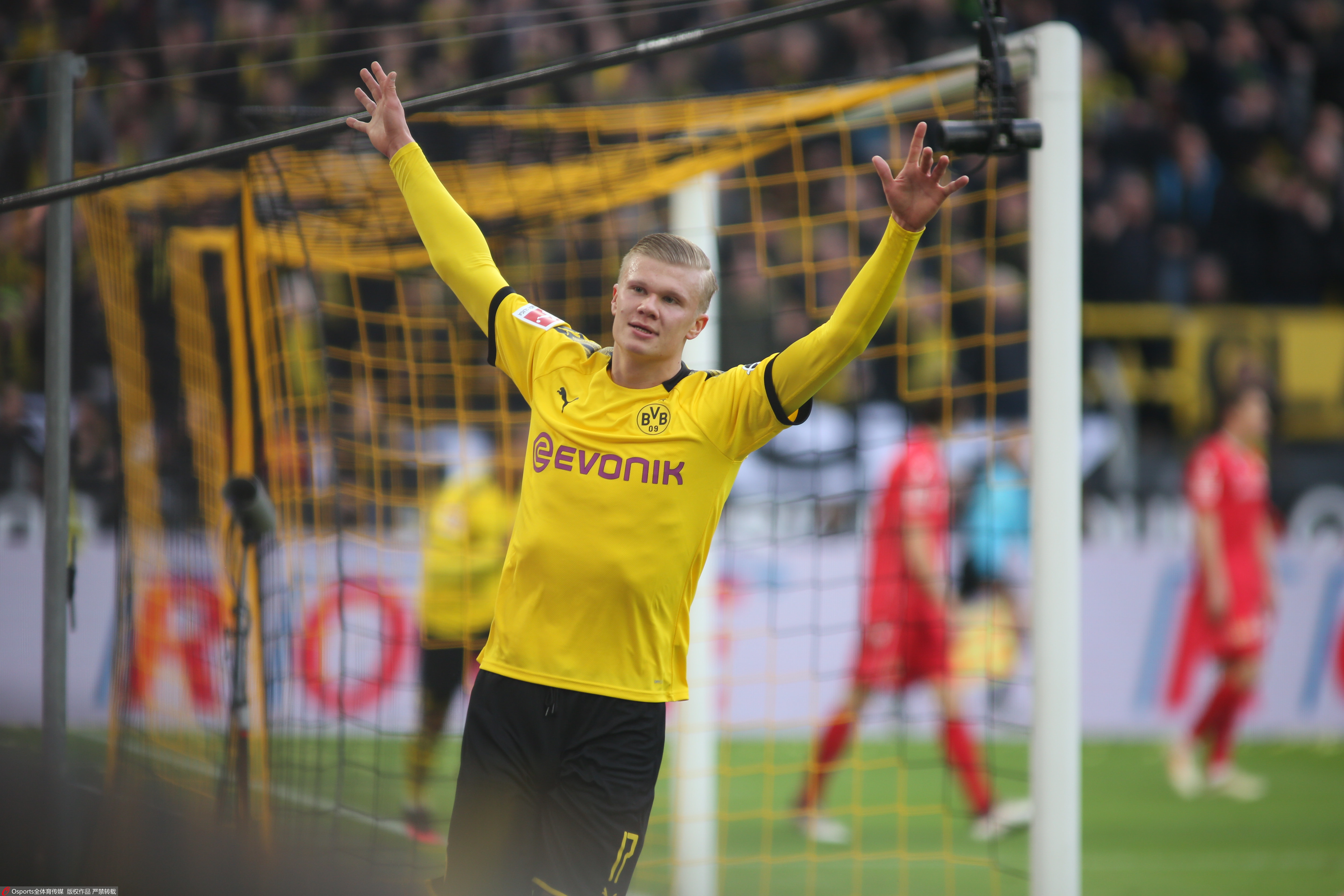 占比稳步上 占比稳步上