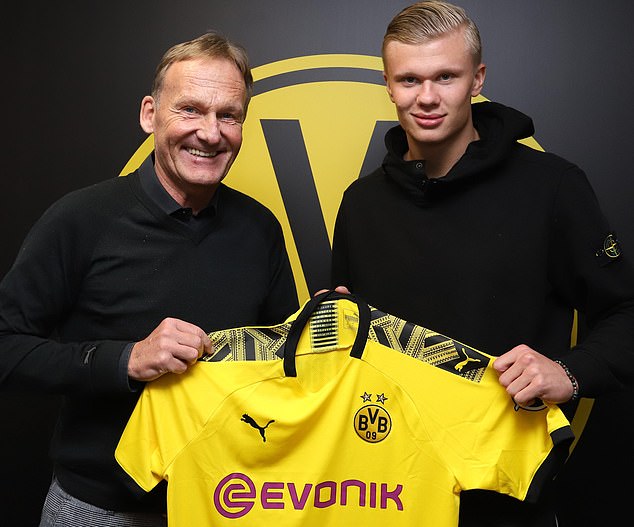 的警报拉响 的警报拉响